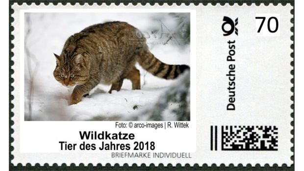 Tipp zum Wochenende: Wildkatzen sind los in Heilbronn