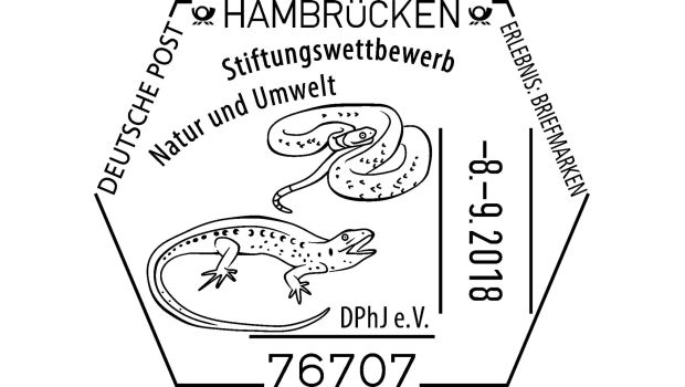 Tipp zum Wochenende: Juphila Hambrücken